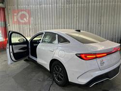 بی وای دی سيل 06 DM-i